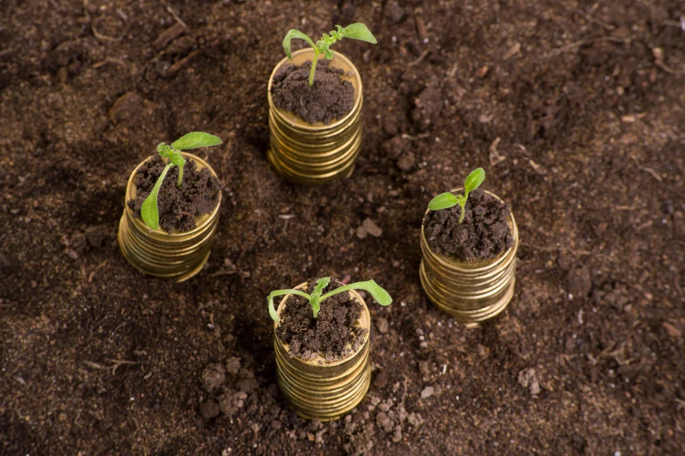 rentabilidad depósitos